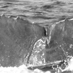 Fluke of CRC-15009