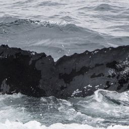 Fluke of HW-MN0101284