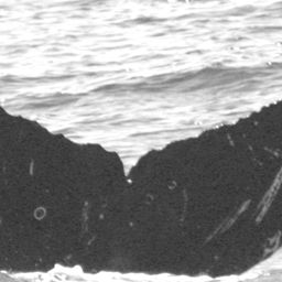Fluke of CRC-12527