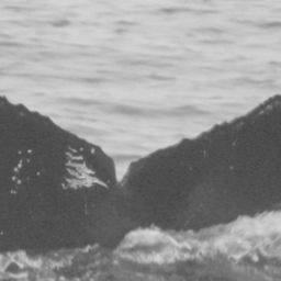 Fluke of CRC-11604