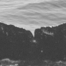 Fluke of CRC-9029