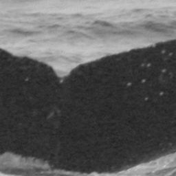 Fluke of CRC-10966