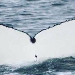 Fluke of HW-MN0101521