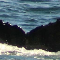 Fluke of HW-MN0101574