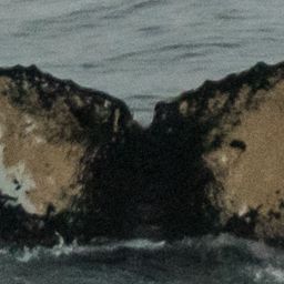 Fluke of HW-MN1301905