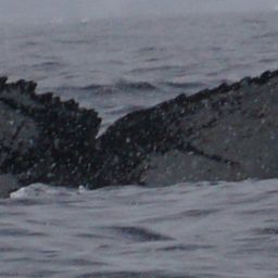 Fluke of 25603