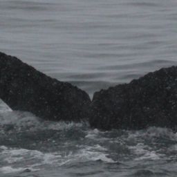 Fluke of HW-MN1302008