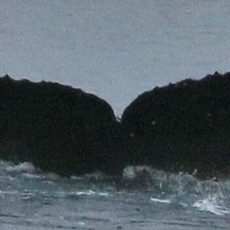 Fluke of HW-MN1302009