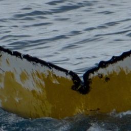 Fluke of HW-MN1302140