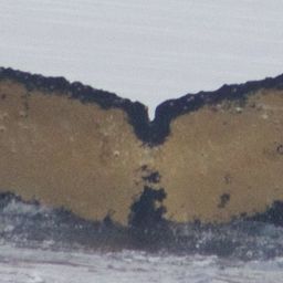 Fluke of HW-MN1302156