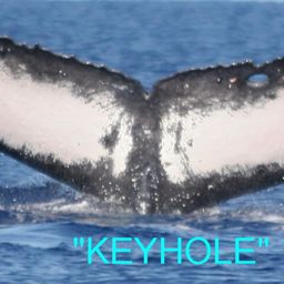 Fluke of Keyhole