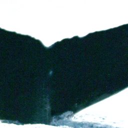 Fluke of HW-MN0441154