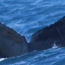 Fluke of HW-MN0441306