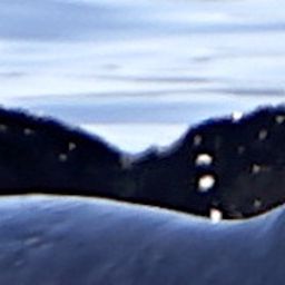 Fluke of SEAK-5199