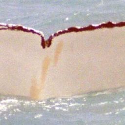 Fluke of PAROS