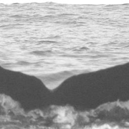 Fluke of CRC-12383