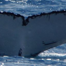 Fluke of NAXOS