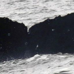 Fluke of CRC-20801