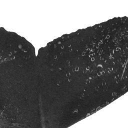 Fluke of CRC-20354