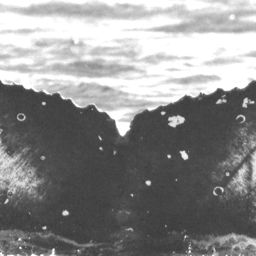 Fluke of HW-MN0520275