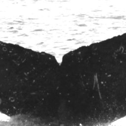 Fluke of HW-MN0520560