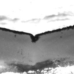 Fluke of HW-MN0520635