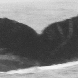 Fluke of CRC-12133