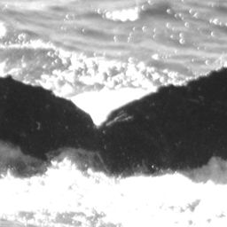 Fluke of FIBB-4BB832