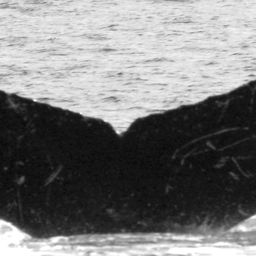 Fluke of HW-MN0520775
