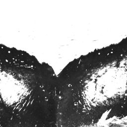 Fluke of HW-MN0520293