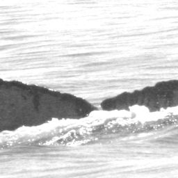 Fluke of HW-MN0520505