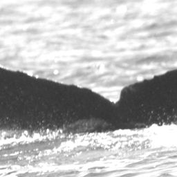 Fluke of CRC-20496