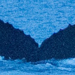 Fluke of HW-MN0200059