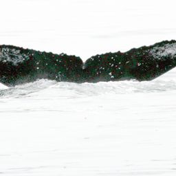 Fluke of Goodwhale