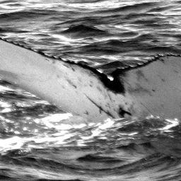 Fluke of RCHP-05RUCO108