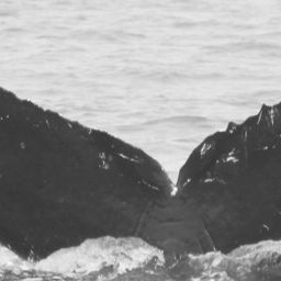 Fluke of CRC-9014