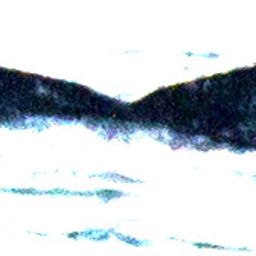 Fluke of дружба собак