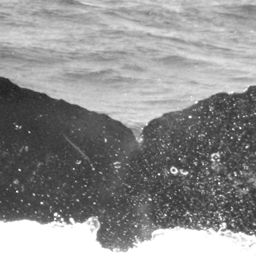 Fluke of CRC-15081