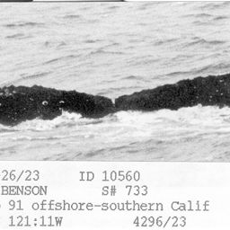 Fluke of CRC-10560