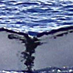 Fluke of NA-10031