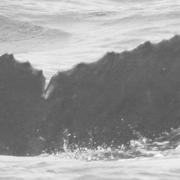 Fluke of CRC-15206