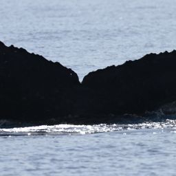 Fluke of HW-MN0441713