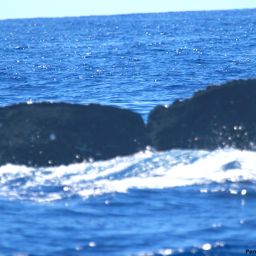 Fluke of HI19-0284