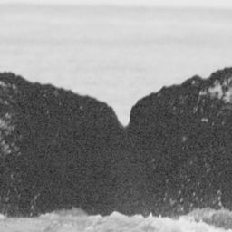 Fluke of GWAK-P038