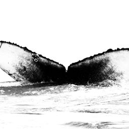 Fluke of CRC-16193