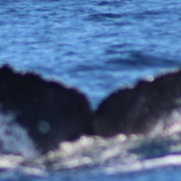 Fluke of CRC-16397
