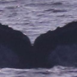 Fluke of CRC-16410
