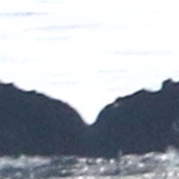 Fluke of CRC-10237