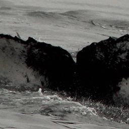Fluke of CRC-19498