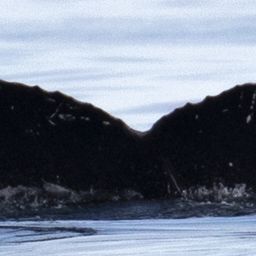 Fluke of CRC-17042